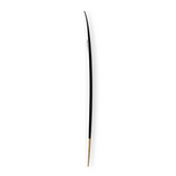 Firewire Long Rider